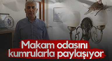 Samsun İl Kültür ve Turizm Müdür Yardımcısı İrfan Göz Makam Odasını Kumrularla Paylaşıyor