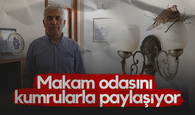 Samsun İl Kültür ve Turizm Müdür Yardımcısı İrfan Göz Makam Odasını Kumrularla Paylaşıyor