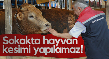 Samsun İl Tarım Müdürü İbrahim Sağlam: Sokakta Hayvan Kesimi Yapılamaz!