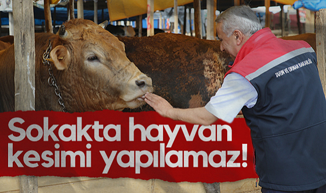 Samsun İl Tarım Müdürü İbrahim Sağlam: Sokakta Hayvan Kesimi Yapılamaz!