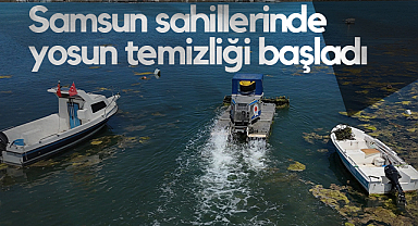 Samsun Körfezi'nde Yosun Temizliği Sürüyor