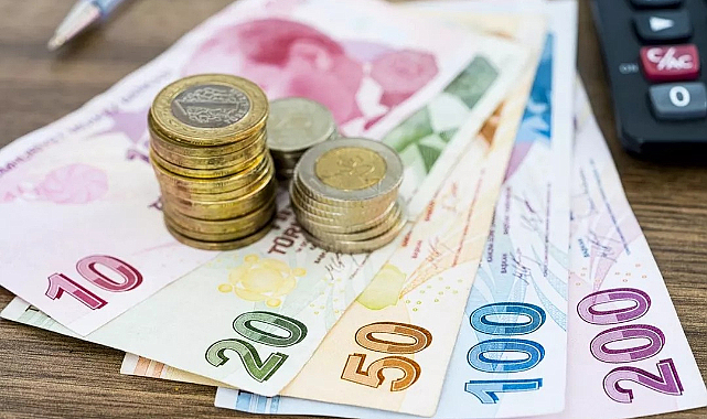 Türk Lirası İçin Yeni Yasa Teklifi Meclis'te