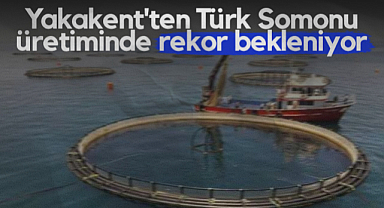 Yakakent'ten Türk Somonu Üretiminde Rekor Bekleniyor