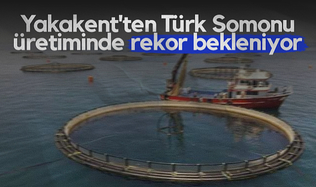 Yakakent'ten Türk Somonu Üretiminde Rekor Bekleniyor