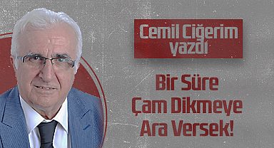 Hedef Halk Gazetesi Köşe Yazarı Cemil Ciğerim: Bir Süre Çam Dikmeye Ara Versek!