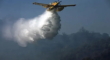 Ateş kuşları Bu Yıl Orman Yangınlarında 51 Bin Sorti Yaptı