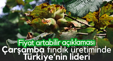 Çarşamba, Fındık Üretiminde Türkiye Birincisi Oldu! Fiyat Artabilir Açıklaması...