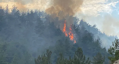 Karabük’te Orman Yangını: Müdahale Havadan ve Karadan Sürüyor