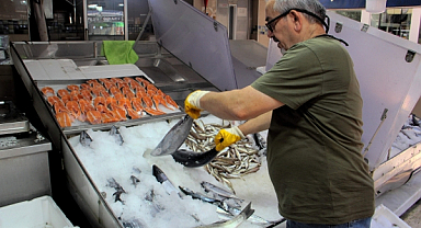 Karadeniz'de Palamut Avı Hüsran