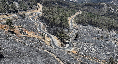 Karar Verildi! O Alanlarda Avlanmak Yasaklandı