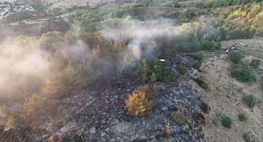 Ordu’da Çıkan Orman Yangını 4 Saatte Söndürüldü