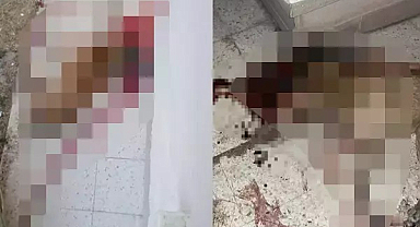 Polis Memuru Sokak Köpeğini Vurarak Öldürdü