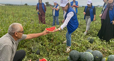 Samsun'da Gönüllü Gençler Karpuz Tarlasında