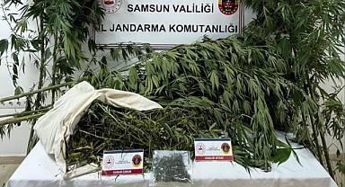 Samsun'da Uyuşturucu Operasyonu: Kenevir ve Kubar Esrar Ele Geçirildi