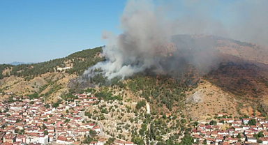Tokat’ta Orman Yangını: Ekipler 1,5 Saatte Alevleri Söndürdü