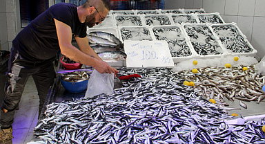 Karadeniz’de Hamsi Avında Verimli Sezon: Gelecek İçin Umut Veriyor