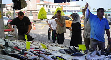Karadeniz’de Hamsi Umudu: 10 Gün İçinde Tezgâhlarda Olabilir