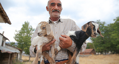 Orman Yangınından Kaçan Aile, Oğlaklarını 9 Kilometre Kucağında Taşıdı