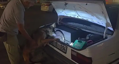 Otomobilin Hoparlöründen 2 Bin Uyuşturucu Hap Çıktı