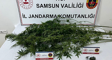 Salıpazarı’nda Jandarma Ekiplerinden Uyuşturucu Baskını