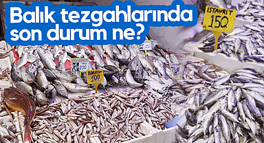 Samsun'un Balık Tezgahlarında Son Durum Ne?