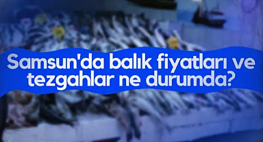 Samsun'da Balık Fiyatları ve Tezgahlar Ne Durumda?