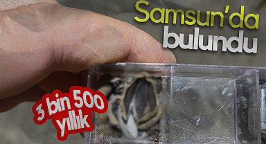 Samsun'da Bulundu: Tam 3 Bin 500 Yıllık
