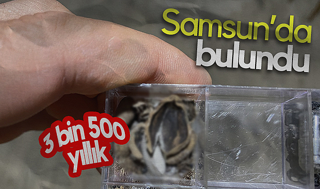 Samsun'da Bulundu: Tam 3 Bin 500 Yıllık