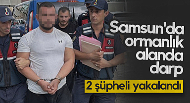 Samsun'da Ormanlık Alanda Darp Olayı: 2 Şüpheli Yakalandı