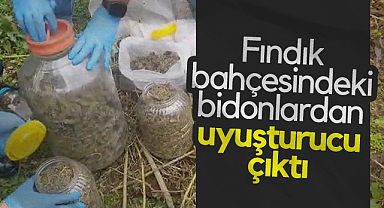 Terme'de Fındık Bahçesindeki Bidonlardan Uyuşturucu Çıktı