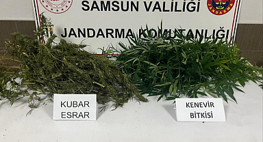 Çarşamba’da Jandarmadan Uyuşturucu Operasyonu