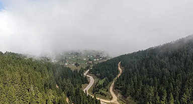 Karadeniz’de Heyelan Alarmı: Uzmanlardan Ormanların Korunması Çağrısı