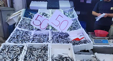 Karadeniz Hamsisi Tezgahları Doldurdu: Fiyatı Düştükçe Düştü