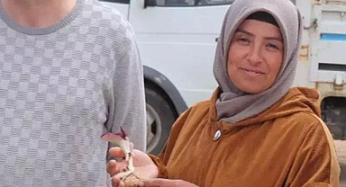 Karaman’da Mantar Toplarken Yeni Bitki Türü Keşfetti