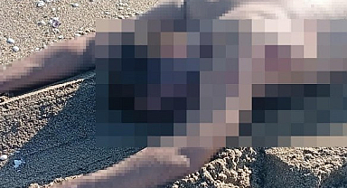 Karasu’da Korkunç Manzara! Sahilde Bir Erkek Cesedi Bulundu