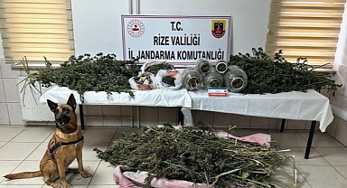 Rize’de Jandarmadan Büyük Uyuşturucu Operasyonu