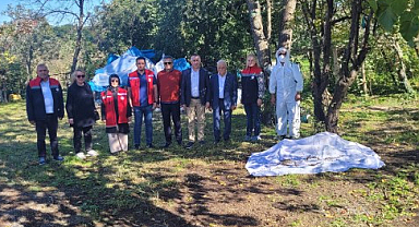 Salıpazarı’nda Kahverengi Kokarcayla Mücadele Hız Kesmiyor