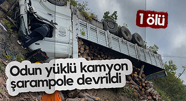 Samsun'da Odun Yüklü Kamyon Şarampole Devrildi: 1 Ölü