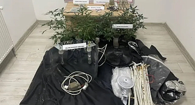 Samsun Kavak’ta Jandarmadan Uyuşturucu Operasyonu: 1 Gözaltı