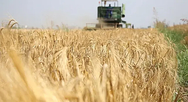 TÜİK Açıkladı: Ağustos’ta Tarımsal Girdi Fiyatları Yükseldi