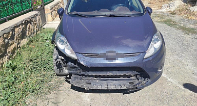 Başıboş Sokak Köpekleri Neden Otomobili Parçaladı? Divriği Belediyesi'ne 108 Bin TL'lik Tazminat Davası Açılacak mı?