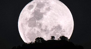 Beklenen Gün Geldi! Saatler 16.20'ye Kuruldu, Kaçıranlar Çok Pişman Olacak