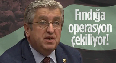 CHP'li Murat Çan'dan Uyarı: Fındığa Operasyon Çekiliyor!