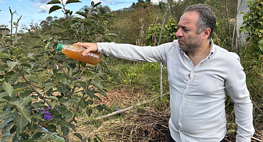 Kahverengi Kokarcaya Doğal Çözüm Buldu! İşte O Formül...