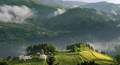 Karadeniz'de Görüldü! Heyecanlandıran Keşif