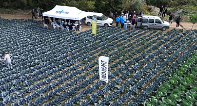 Bafra Ovası’nda Sebze Tarla Günü Etkinliği: Lahanagillerin Ana Üssü Bafra