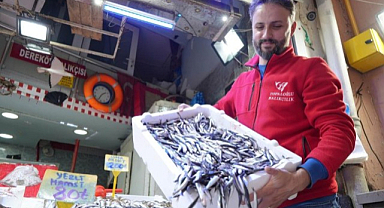 Samsun Tezgahlarında Hamsi Bolluğu: Tezgahtaki Fener Balığı Şaşırttı