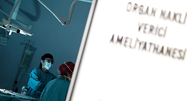 Türkiye'de Organ Nakli Bekleyen Hasta Sayısı 32 Bini Aştı