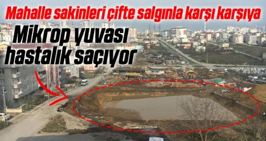 Samsun'da Mahalle Sakinleri Çifte Salgınla Karşı Karşıya