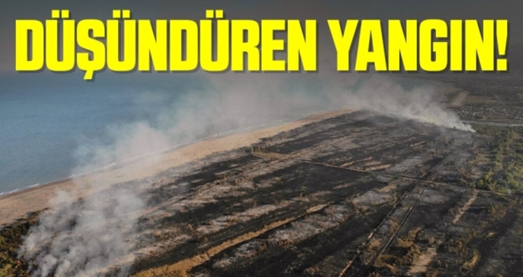 Samsun Kuş Cennetinde Düşündüren Yangın!